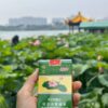 Diamond Lotus Cigarettes Diamond Lotus Cigarettes Chinese premium tobacco brand green packaging